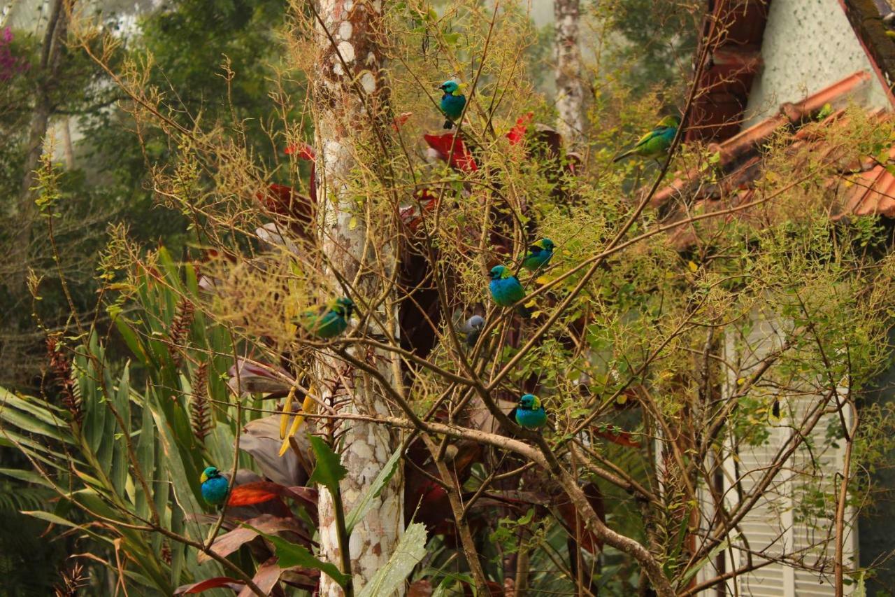 Quarto Varanda - Residencia Gaia Itatiaia إيتاتيايا المظهر الخارجي الصورة